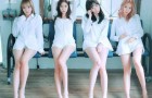 스텔라 대박
